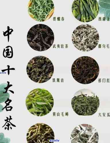 中国十大名茶的产地和品质特征，探秘中国十大名茶：产地与品质特征全解析