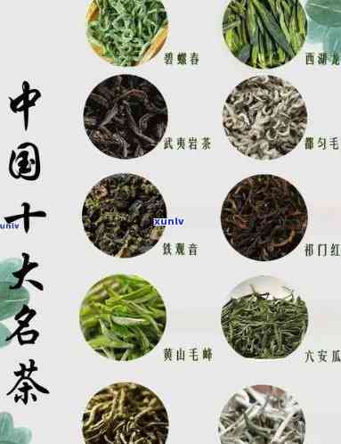 中国十大名茶产地全揭秘：你都知道吗？