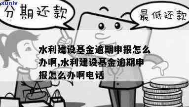 怎样补报水利建设基金？逾期未申报的罚款规定是什么？