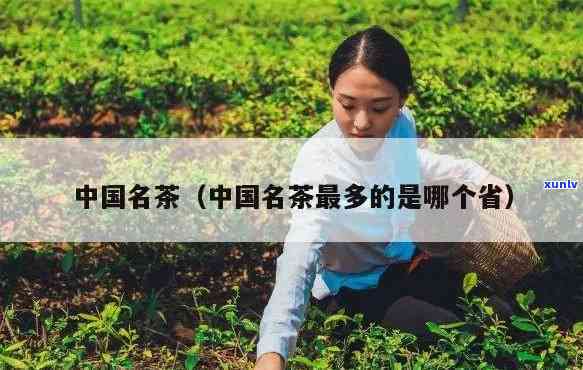 中国哪个省名茶最多-中国哪个省名茶最多的