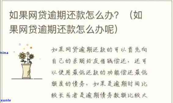 中国银行网贷逾期-中国银行网贷逾期还不起了会怎么样