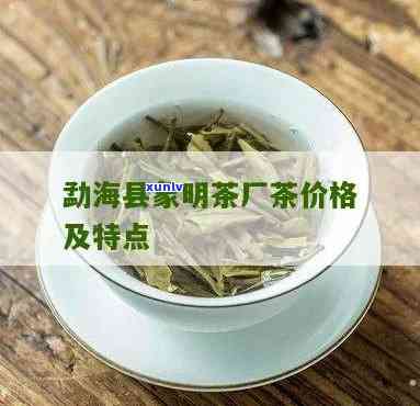 勐腊象明陈香寨茶厂-勐腊象明陈香寨茶厂生产茶叶价格