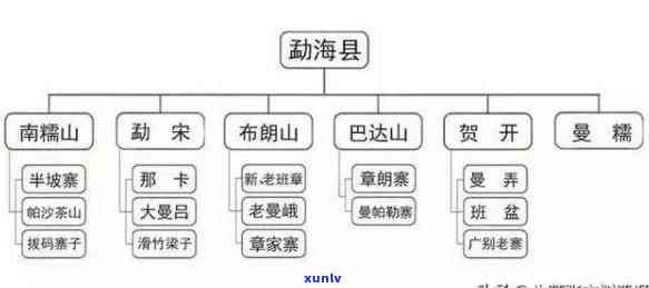 巴达山老寨茶厂概况图：深度解析工厂全貌、图片及图表