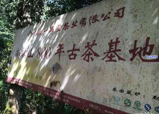 南糯山古茶厂怎么样-南糯山古茶厂怎么样啊