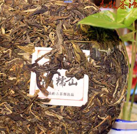 南糯山古茶厂怎么样-南糯山古茶厂怎么样啊