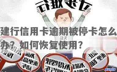 信用卡逾期还款将带来哪些后果？