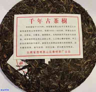 2004年春明茶厂野生茶：金奖千年古树茶，纯正原生态口感