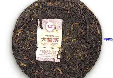 大益茶区别，解密大益茶：品种、工艺和口感的区别