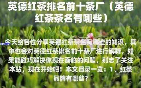 英德有哪些知名茶厂-英德有哪些知名茶厂名字