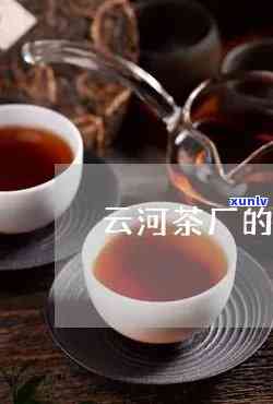 云河茶厂普育：优质普洱茶的代名词