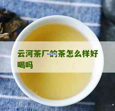 云河茶厂普洱茶，品味云南风情：云河茶厂普洱茶的魅力探索