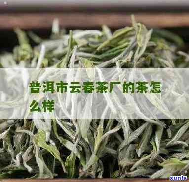 昆明云普茶厂怎么样-昆明云普茶厂怎么样啊