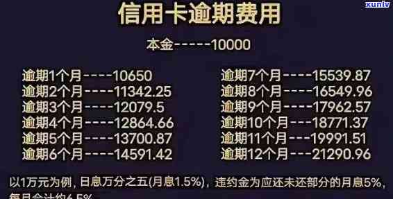 河南交通银行逾期利息多少，查询河南交通银行逾期利息，熟悉您的还款责任