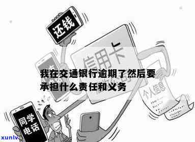 我在交通银行逾期后应承担的责任与义务是什么？