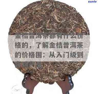 金马牌桔普茶等级，品鉴顶级好茶：金马牌桔普茶等级解析