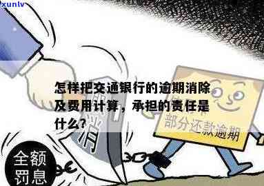 我在交通银行逾期后，应承担的责任与义务是什么？