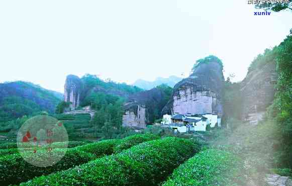 南峤茶山有哪些寨子-南峤茶山在哪里