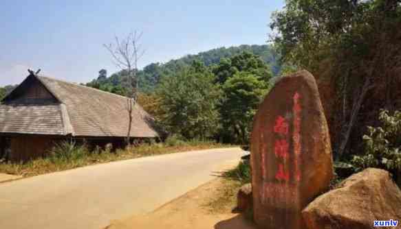 南峤茶山有哪些寨子-南峤茶山在哪里