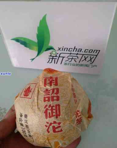 南桥沱茶怎么样，探究南桥沱茶的口感与品质，它到底如何？