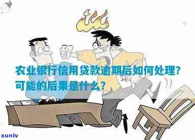 农业贷款逾期2天会有什么结果？逾期解决方法及作用解析