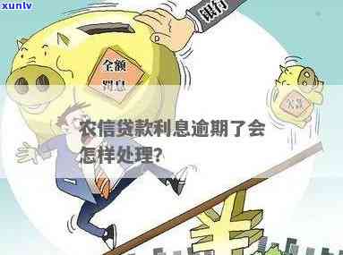 农业贷款逾期2天会有什么结果？逾期解决方法及作用解析