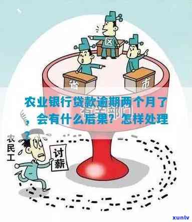 农业贷款逾期2天会有什么结果？逾期解决方法及作用解析