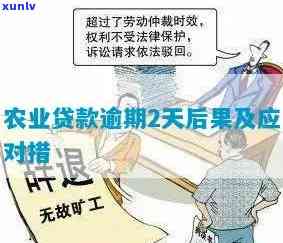 农业贷款逾期2天会有什么结果？逾期解决方法及作用解析