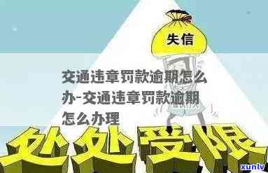 交通罚款逾期一年怎么解决，怎样解决交通罚款逾期一年的疑问？