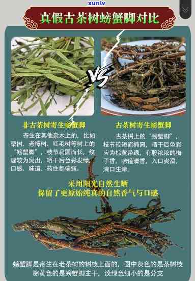 澜沧古茶螃蟹脚价格-澜沧古茶螃蟹脚价格表