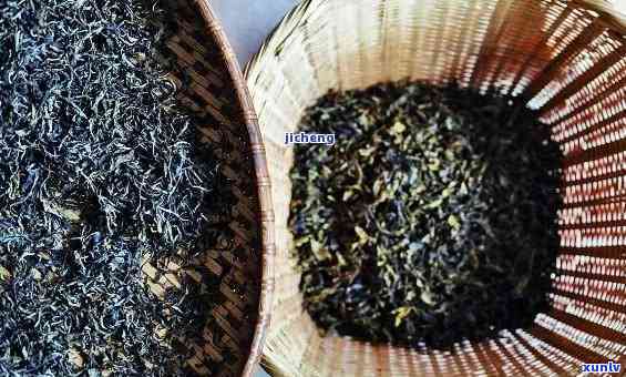 澜沧古茶大益，探秘澜沧古茶大益：品味云南普洱的韵味与历