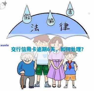 交通银行逾期消除  全解析：最全、最新解决方案