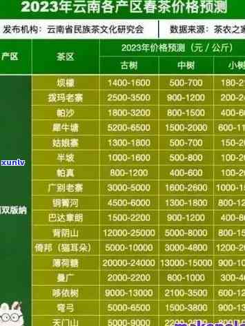 景迈山古树普洱茶价格，【2023年最新】景迈山古树普洱茶价格表，老班章、冰岛等名茶价格全解析！