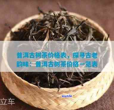 景迈古树茶多少钱一斤，探寻古韵：景迈古树茶价格解析