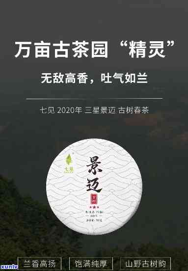 景迈古树茶饼，品味历与自然的交融：探索景迈古树茶饼的魅力