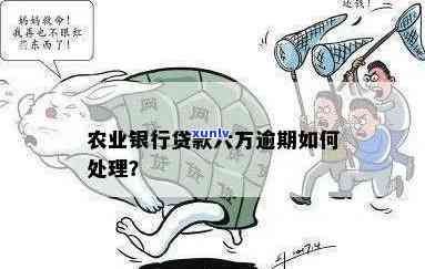 农业银行逾期利息过高？怎样解决及避免滞纳金？