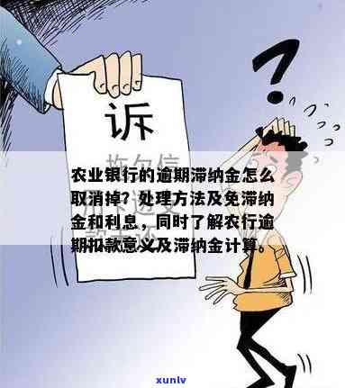 农业银行逾期利息过高？怎样解决及避免滞纳金？