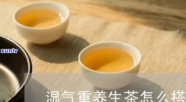 排湿养生茶怎么搭配-排湿养生茶怎么搭配好