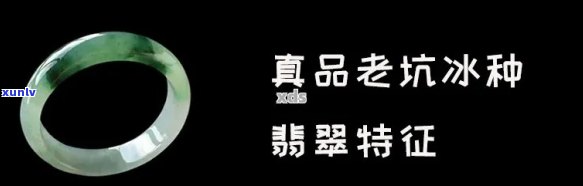 冰种翡翠辨认真假视频，揭秘冰种翡翠真伪！教你如何辨别真假冰种翡翠的视频教程