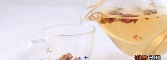 去火养生茶怎么搭配-去火养生茶怎么搭配好