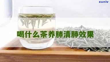 清肺养生茶怎么搭配好，如何搭配饮用清肺养生茶？一份详细的指南