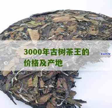 澜沧古茶林中王价格多少？请提供具体重量以获取准确报价。