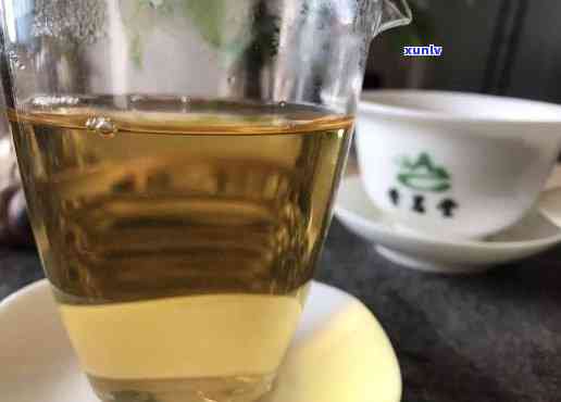 生茶泡茶水：度与冲泡技巧全解