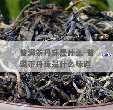 澜沧古茶丹珠是生茶还是熟茶，揭秘澜沧古茶丹珠：是生茶还是熟茶？