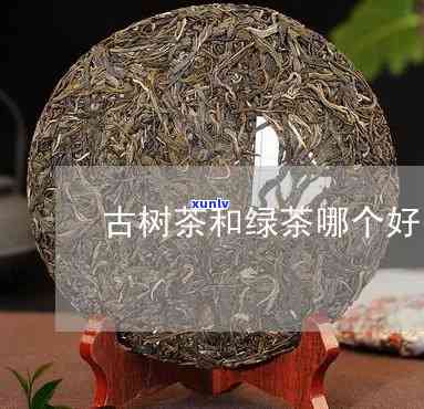 古树茶和绿茶哪个好-古树茶和绿茶哪个好喝