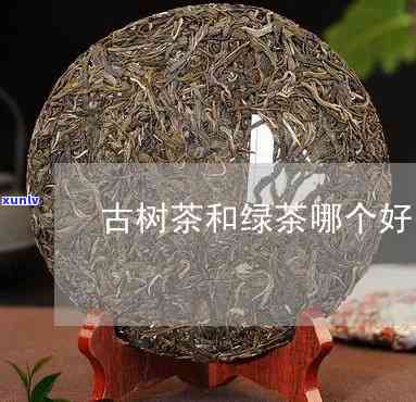 古树茶和绿茶的区别-古树茶和绿茶的区别是什么