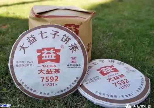 大益7017542，探究大益7017542的神秘面纱：一探究竟