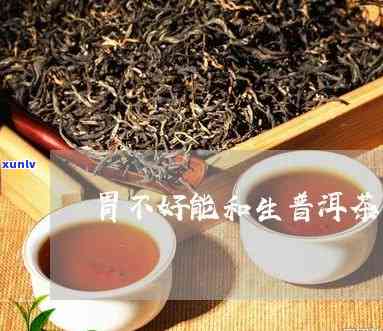 胃不好可以喝生茶吗-胃不好喝生茶还是熟茶好