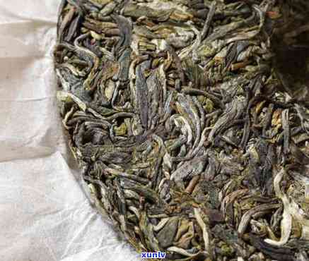 磨烈古树茶冲泡水-磨烈古树茶功效