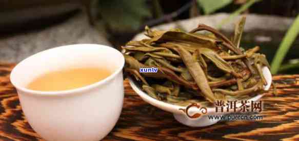 探索景迈古树茶的口感特点：独特韵味与价格解析