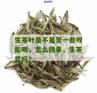 生茶的苦味会转化吗知乎，茶叶专家解答：生茶的苦味能否转化？